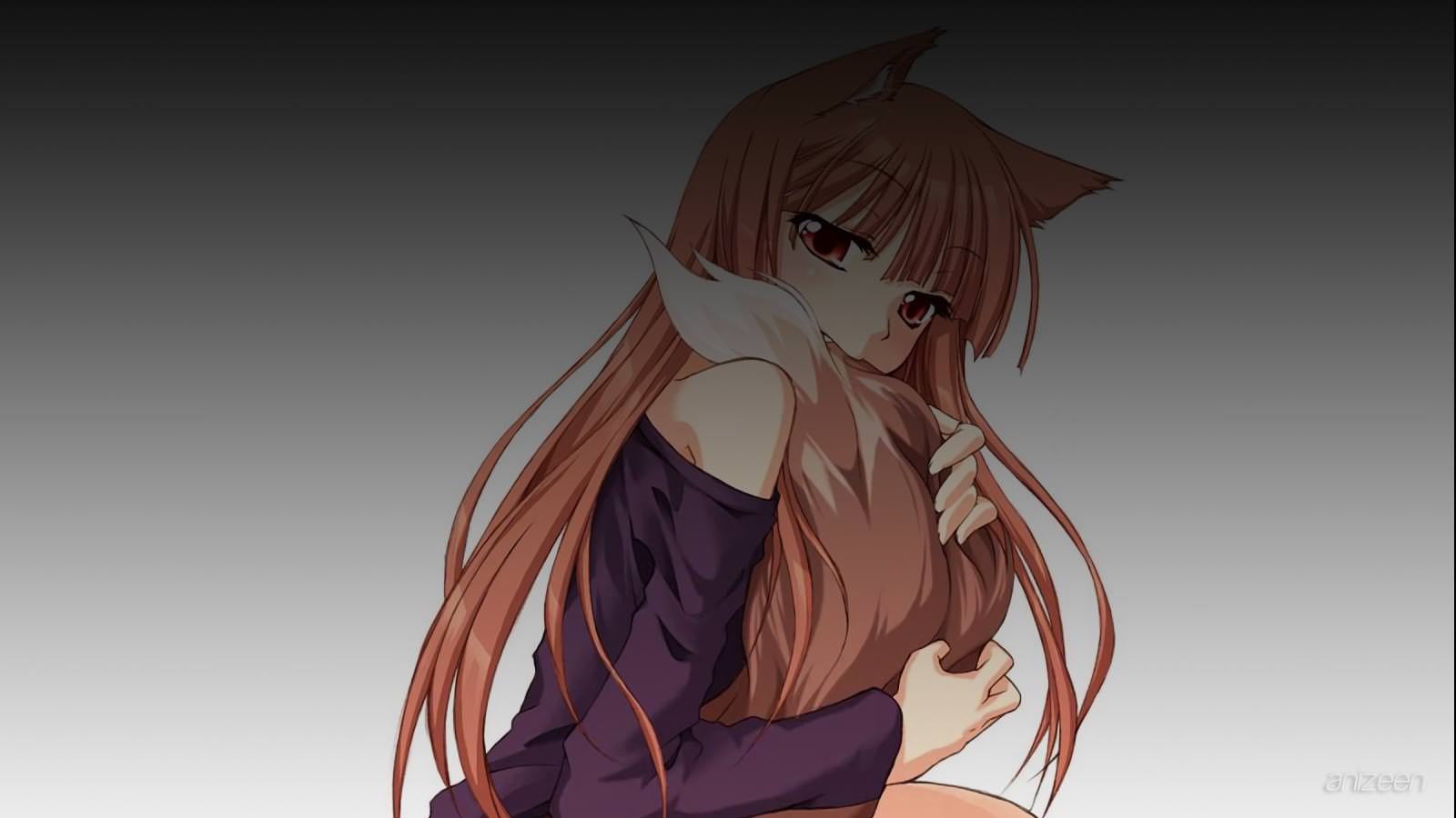 Spice and Wolf anime