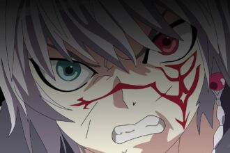 Seikon no Qwaser anime