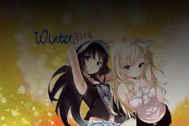 Winter Anime Season 2013