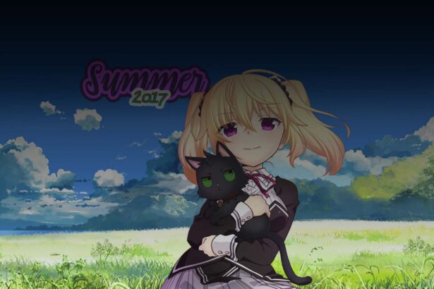 Summer Anime Season 2017