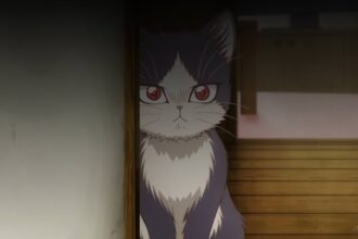 My Roommate Is a Cat anime