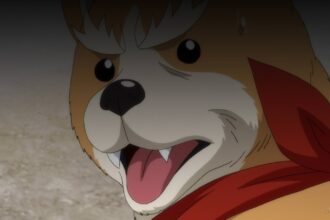 Oda Shinamon Nobunaga anime