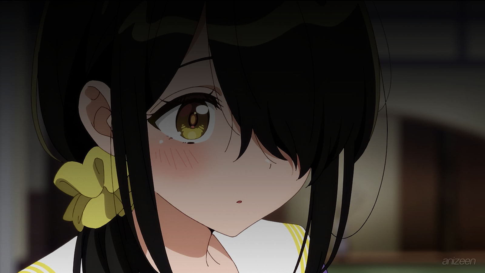 Shiunji-ke no Kodomo-tachi anime