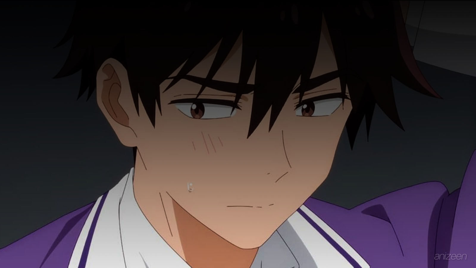 Shiunji-ke no Kodomo-tachi anime