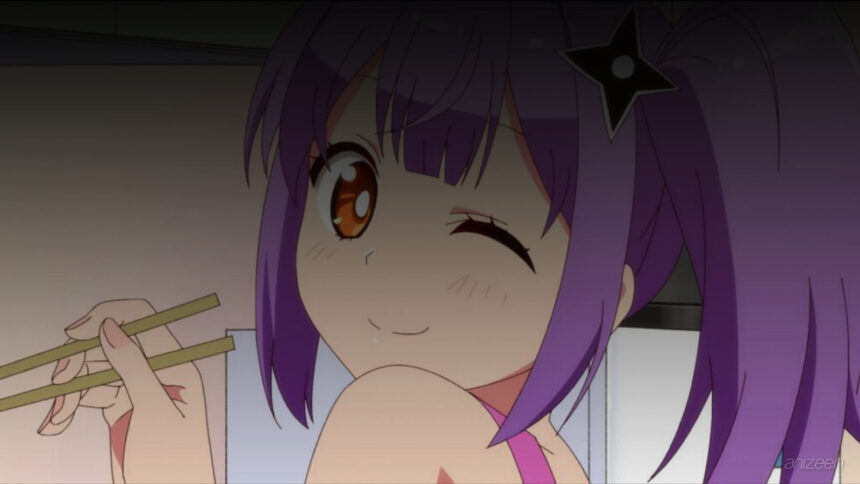 Ninja to Koroshiya no Futarigurashi anime