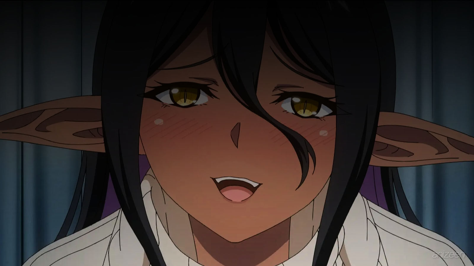 Yandere Dark Elf: She Chased Me All the Way from Another World! anime