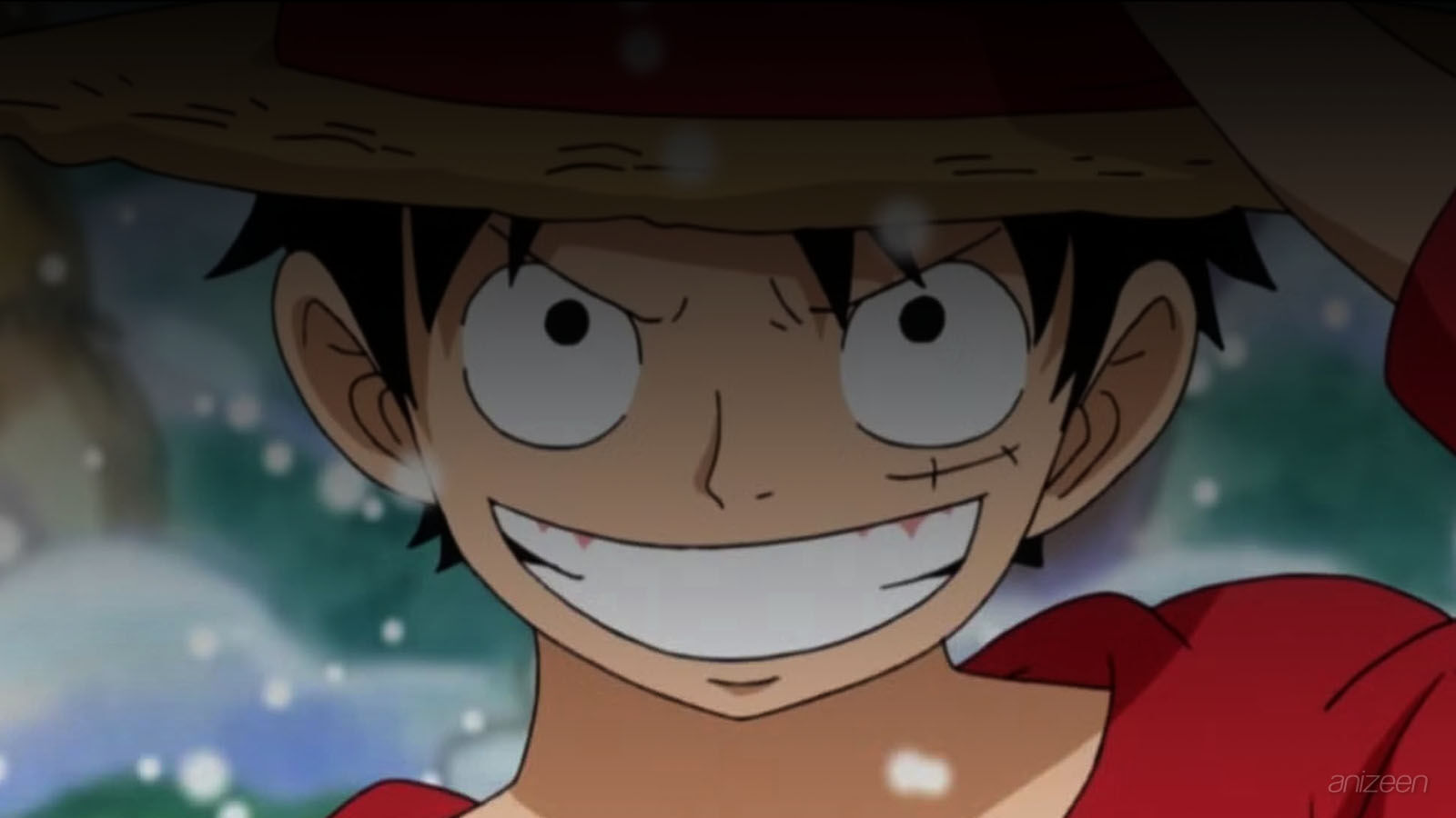 One Piece anime review