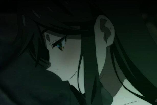 Kirei ni Shite Moraemasu ka. aniume review