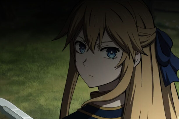 Hime Kishi wa Barbaroi no Yome anime review
