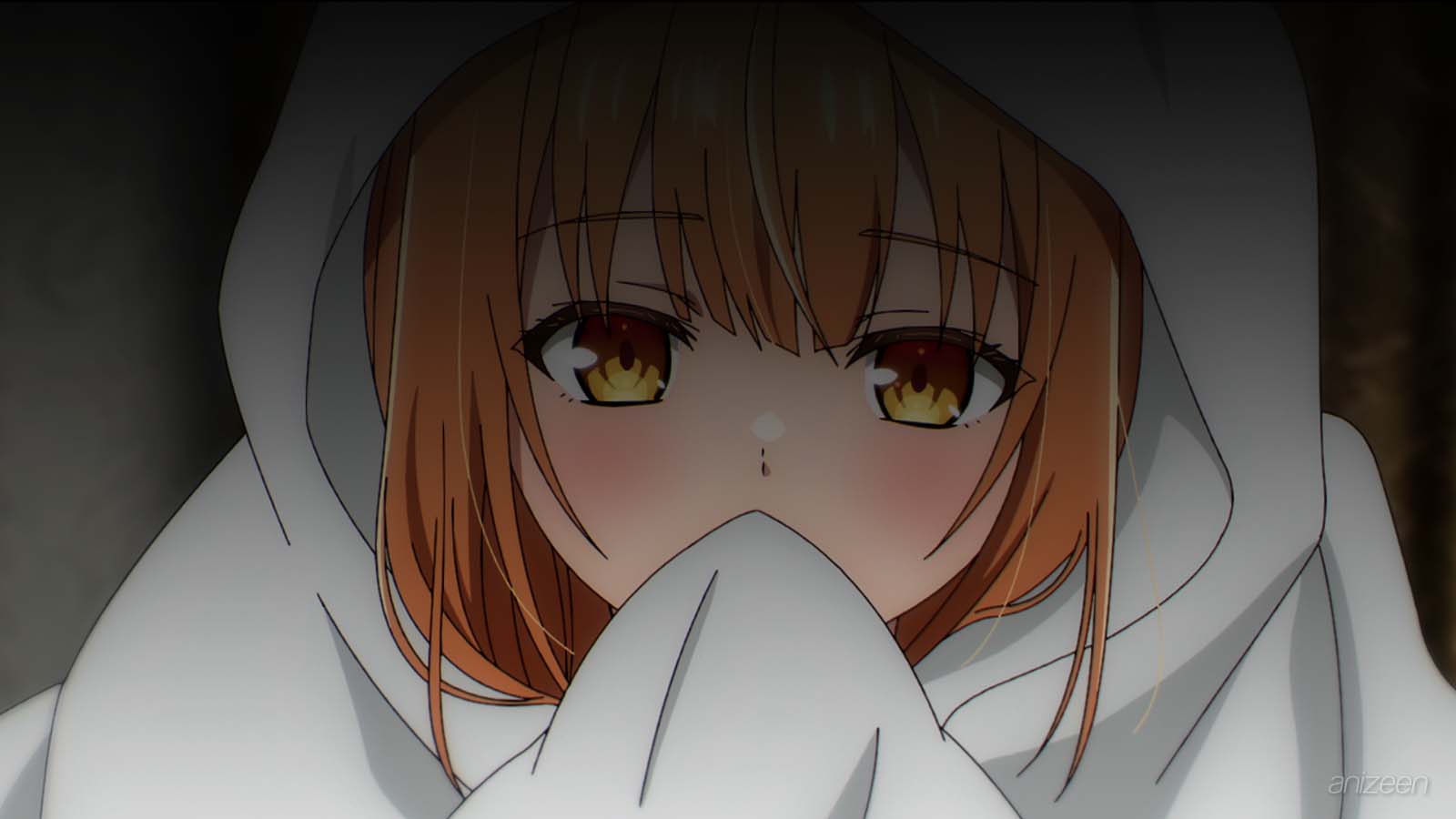 Saijo no Osewa anime first look